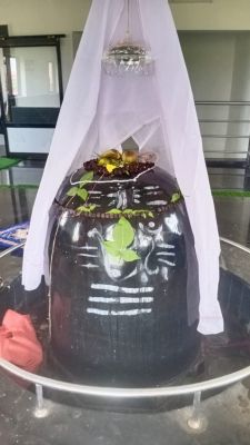 शिवधाम में महाशिवरात्रि उत्सव 26 को  