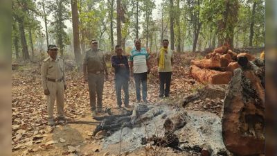 CG ब्रेकिंग &ndash; जंगल में मिले अधजले शव के टुकड़े और चूड़ियां, जताई जा रही ये आशंका, जांच में होंगे कई बड़े खुलासे&hellip;..