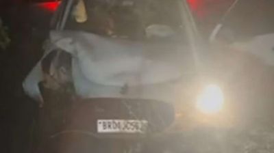  ACCIDENT NEWS : बारात से लौट रही कार हादसे का शिकार, दो लोगों की मौत, पसरा मातम 