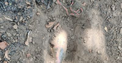 सुरक्षा बलों ने डिफ्यूज किए IED बम एक बार फिर नक्सलियों के मंसूबों पर फिरा पानी