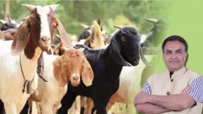 7 जून को धूमधाम से मनाया जाएगा ईद-उल-अजहा बकरीद का पर्व&hellip;.