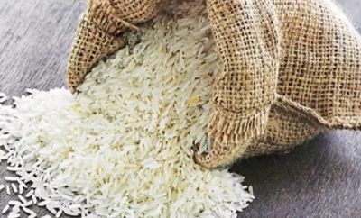छत्तीसगढ़ के चावल से होगा अब कैंसर का इलाज ! करोड़ों लोगों की बचाई जा सकेगी जान