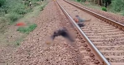 CG में दर्दनाक हादसा : ट्रेन की चपेट में आकर दो मजदूरों की मौत, थककर कर रहे थे आराम, दो की हालत गंभीर