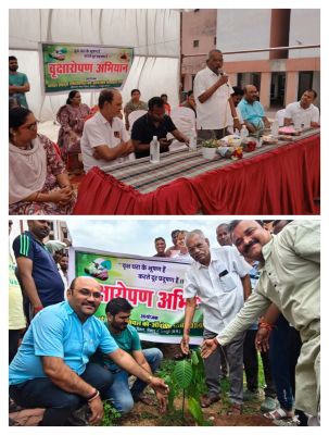 छत्तीसगढ़ को हर्बल स्टेट बनाने के लिए वृक्षारोपण जरूरी - नंद कुमार साहू