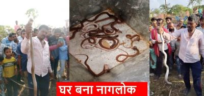 CG : छत्तीसगढ़ का घर बना नागलोक, कमरे में नाग-नागिन के साथ मिले कई सांप&hellip;..