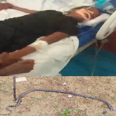 CG &ndash; हरेली की खुशियां बदली मातम में जहरीले सांप नें दो बच्चियों क़ो काटा एक की मौत दूसरी लड़ रही जिंदगी की जंग 