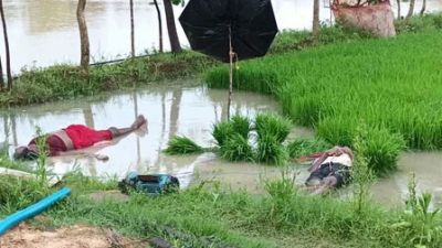 किसान पति- पत्नी की मौत : हाई वोल्टेज करंट की चपेट में आए किसान दंपती, दोनों की मौके पर हुई मौत किसान पति- पत्नी की मौत : हाई वोल्टेज करंट की चपेट में आए किसान दंपती, दोनों की मौके पर हुई मौत