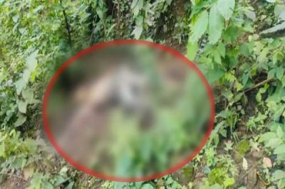 ब्रेकिंग : पूर्व विधायक के भाई की जंगल में मिली सड़ी-गली लाश, जताई जा रही ये आशंका, जांच में जुटी पुलिस&hellip;