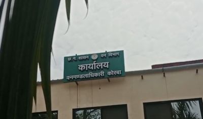 करेंट की चपेट में आने से हाथी की मौत,फसल बचाने किसान ने लगाई थी बिजली की तार..