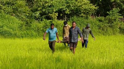 CG : खेत में मिली युवक की लाश, इलाके में फैली दहशत