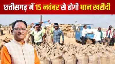 छत्तीसगढ़ में 15 नवंबर से होगी धान खरीदी, 60 लाख मीट्रिक का लक्ष्य, प्रति क्विंटल 31 सौ का होगा भुगतान