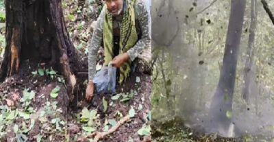 नक्सलियों के मनसूबे पर फिरा पानी, सुरक्षा बलों ने 5 किलो प्रेशर IED बम किया बरामद नक्सलियों के मनसूबे पर फिरा पानी, सुरक्षा बलों ने 5 किलो प्रेशर IED बम किया बरामद