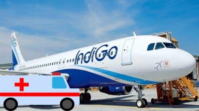 हैदराबाद जा रही Indigo Flight में युवक की मौत, रायपुर एयरपोर्ट पर हुई इमरजेंसी लैंडिंग