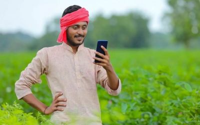 किसानों से दलहन-तिलहन उपार्जन की केन्द्र ने दी स्वीकृति,मार्कफेड सहकारी समितियों के माध्यम से करेगा उपार्जन