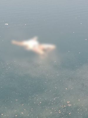 Breaking : राजधानी में यहां मिली सिर कटी लाश, हत्या की आशंका