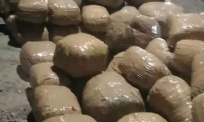 CG &ndash; 4.75 करोड़ का गांजा जब्त : शातिर तरीके से हो रही थी गांजे की तस्करी, 4.75 करोड़ का गांजा जब्त, नशे के 2 सौदागर गिरफ्तार&hellip;..