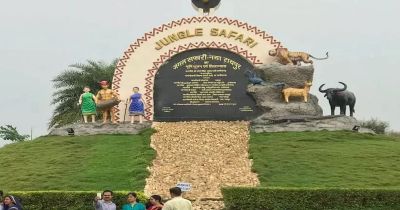 नंदनवन जंगल सफारी बना पर्यटकों की पहली पसंद, वन्यजीव संरक्षण और प्रकृति शिक्षा का अनूठा केंद्र