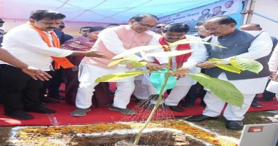 &lsquo;एक पेड़ माँ के नाम&rsquo; अभियान से प्रकृति संरक्षण और मातृ सम्मान का संदेश
