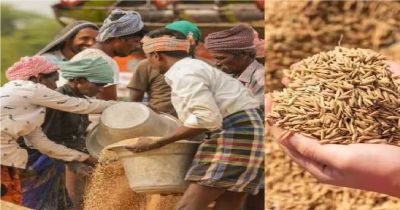 छत्तीसगढ़ में धान खरीदी के नियम बदले, अब फिंगरप्रिंट से होगा सत्यापन, जान लीजिए ये नए नियम&hellip;..
