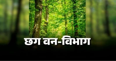 CG : वन विभाग में बड़ी फेरबदल, 102 वनक्षेत्रपालों के तबादले, देखें पूरी लिस्ट
