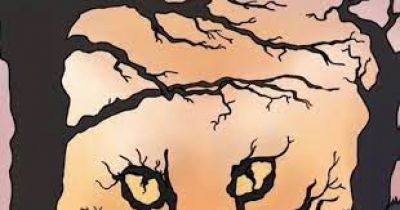 तेज दिमाग वाले या हैं बेफिक्रे? ये फोटो खोलेगा पर्सनालिटी का राज, बस बताएं पहली बार में क्या दिखा!