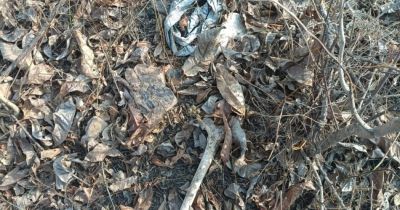 जंगल में नरकंकाल मिलने से सनसनी फैली, शव करीब एक माह पुराना