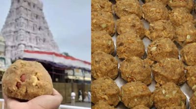 तिरुपति मंदिर के लड्डू में जानवर की चर्बी और मछली का तेल मिले होने की पुष्टि, मचा हंगामा