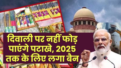 वायु प्रदूषण के चलते एक्शन में सरकार, 1 जनवरी तक पटाखों पर लगाया प्रतिबंध