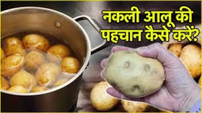 Potato Real or Fake : क्&zwj;या आप भी खा रहे हैं केमिकल वाला आलू? कैसे करें असली और नकली की पहचान?