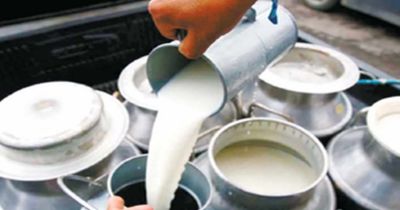 दूध के लिए MSP लाने का कोई प्रस्ताव नहीं: सरकार दूध के लिए MSP लाने का कोई प्रस्ताव नहीं: सरकार
