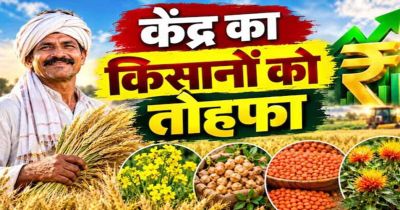 रबी फसलों के MSP में बढ़ोतरी, दलहन-तिलहन पर सरकार का खास जोर