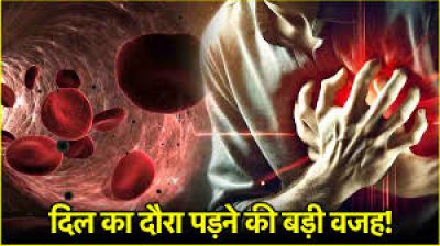 खून में दिखने वाले इस संकेत से हार्ट अटैक का खतरा, कैसे करें बचाव?